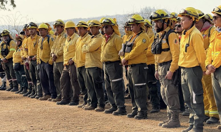Se registran 10 incendios forestales en 4 municipios de Morelos