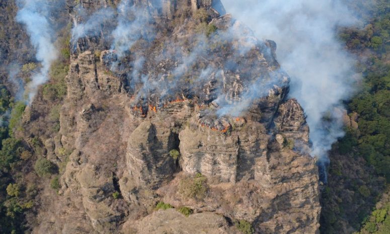 Anuncia Margarita acciones penales contra quienes provoquen incendios
