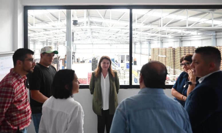 Impulsa Gobierno de Morelos exportación de aguacate a Estados Unidos