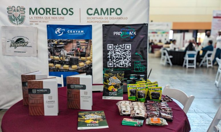 Posiciona Gobierno al campo de Morelos en escenario internacional