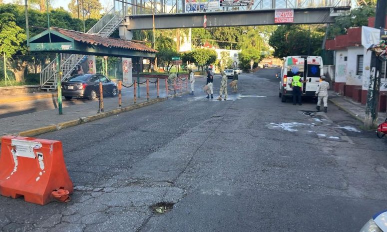 Muere por picadura de abejas, en Cuernavaca