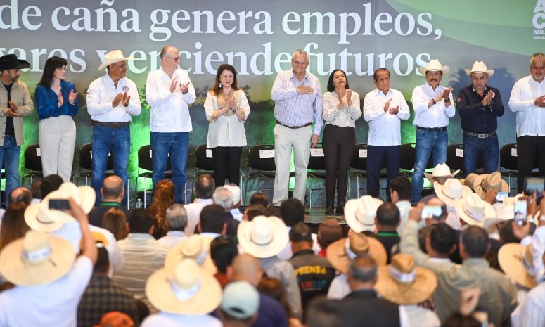 Fortalece gobierno de Margarita producción de caña de azúcar