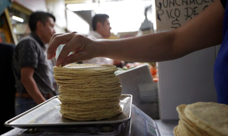 Sube kilo de tortilla a 30 pesos en Morelos