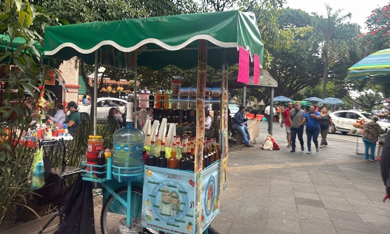 Señalan ambulantaje y basura como quejas de turistas